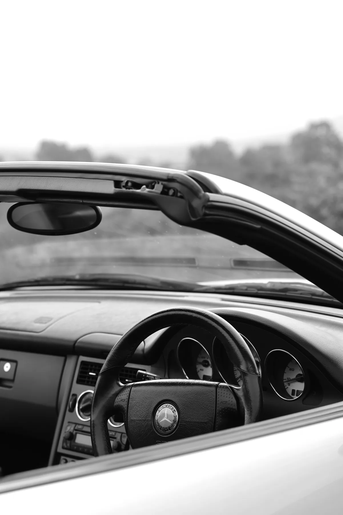 Black and white car window